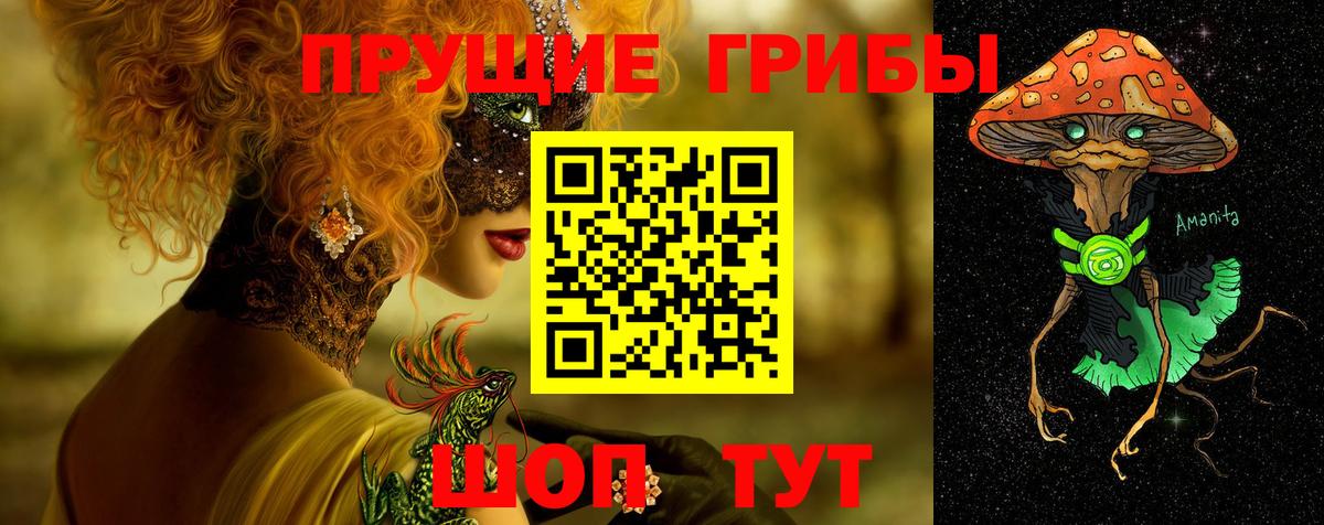 Псилоцибиновые грибы Cubensis  Дзержинск  Псилоцибиновые грибы Psilocybe 