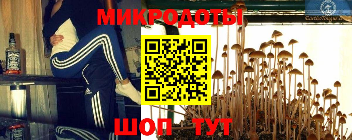 Дзержинск  Псилоцибиновые грибы Magic Shrooms  Галлюциногенные грибы MAGIC MUSHROOMS  Вход с VPN 