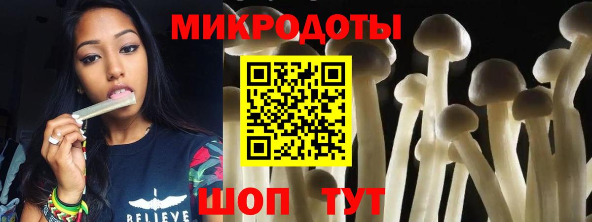 Галлюциногенные грибы Psilocybine cubensis Дзержинск