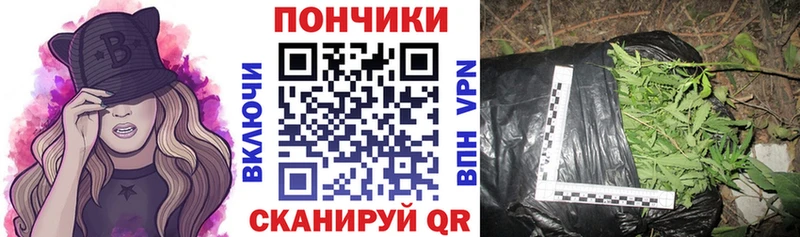 Бошки марихуана сатива Дзержинск