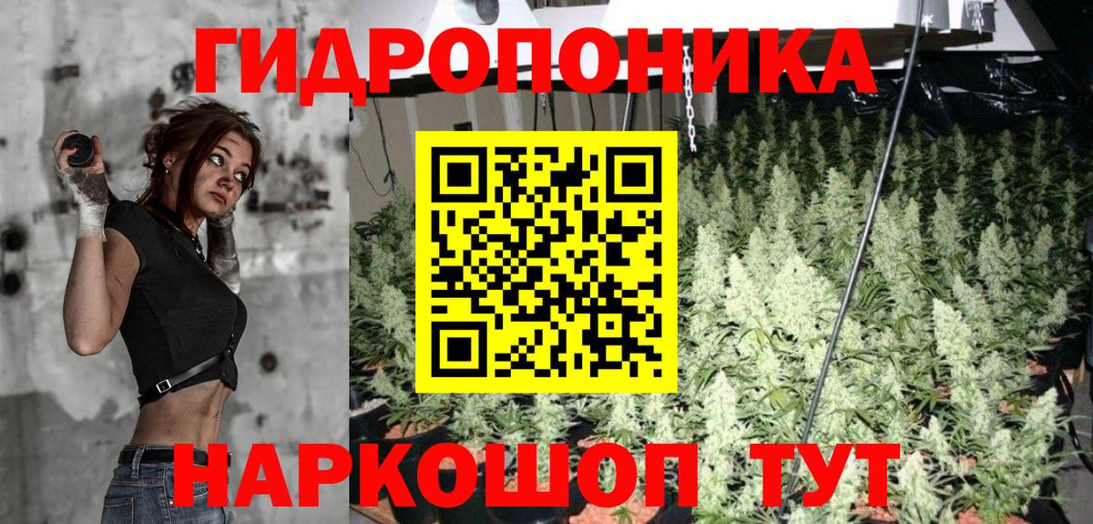 Галлюциногенные грибы Дзержинск