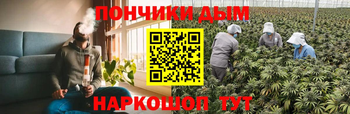 Конопля конопля Дзержинск